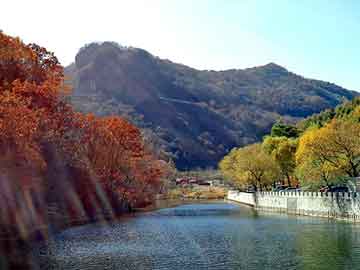 澳门天天开奖免费资料，山东龙口海景房骗局